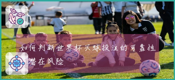 如何判断世界杯买球投注的可靠性与潜在风险