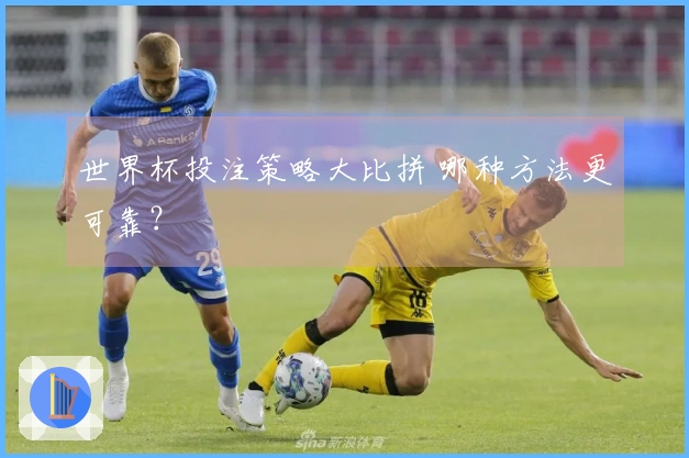 世界杯投注策略大比拼 哪种方法更可靠？