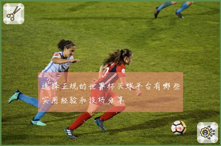 选择正规的世界杯买球平台有哪些实用经验和技巧分享