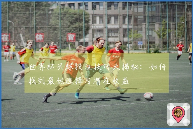 世界杯买球投注技巧大揭秘：如何找到最优选择与潜在收益