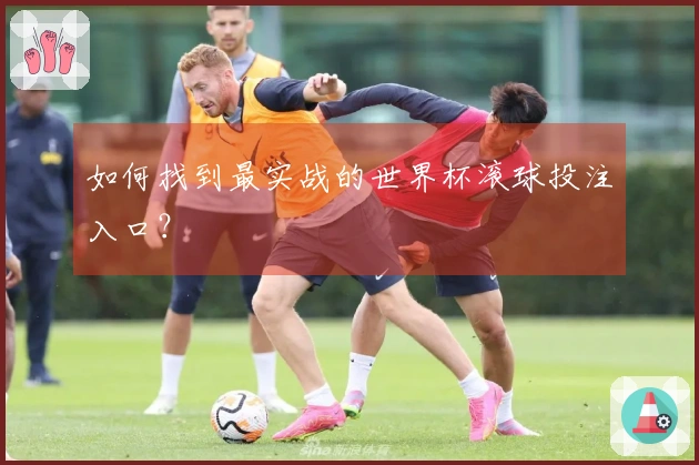 如何找到最实战的世界杯滚球投注入口？