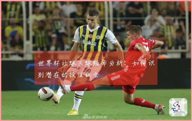 世界杯让球买球赔率分析：如何识别潜在的投注机会