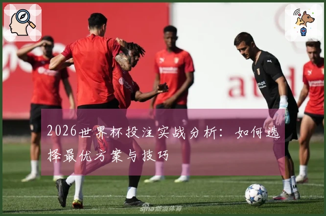 2026世界杯投注实战分析：如何选择最优方案与技巧