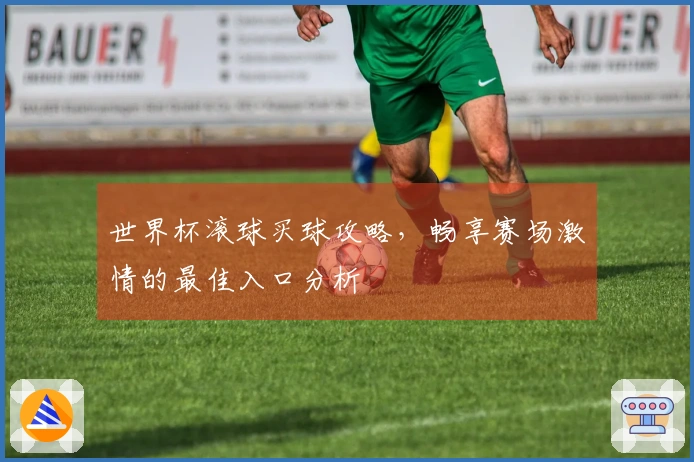 世界杯滚球买球攻略，畅享赛场激情的最佳入口分析