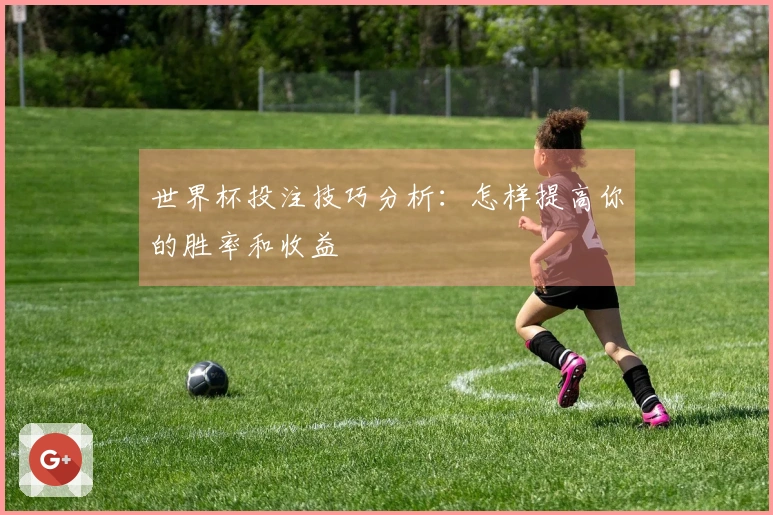 世界杯投注技巧分析：怎样提高你的胜率和收益