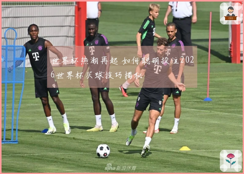 世界杯热潮再起 如何聪明投注2026世界杯买球技巧揭秘