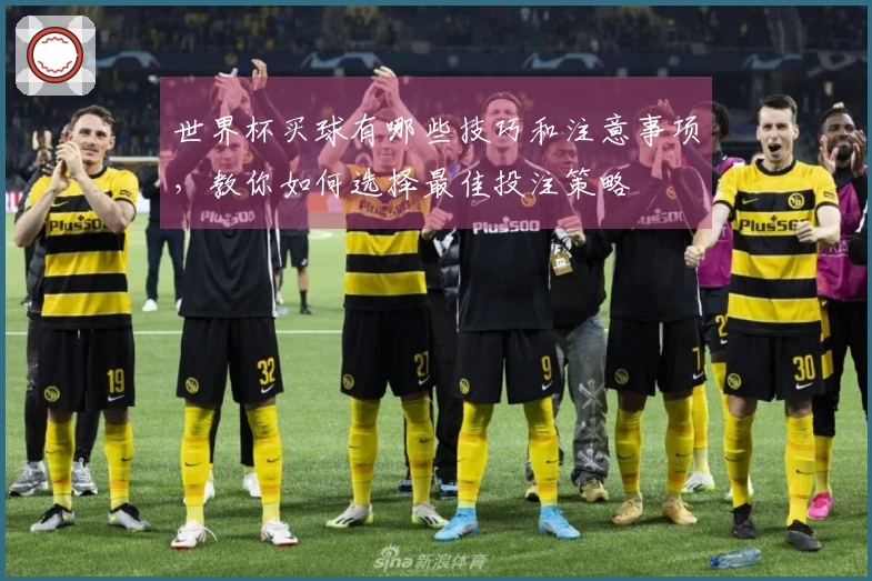 世界杯买球有哪些技巧和注意事项，教你如何选择最佳投注策略