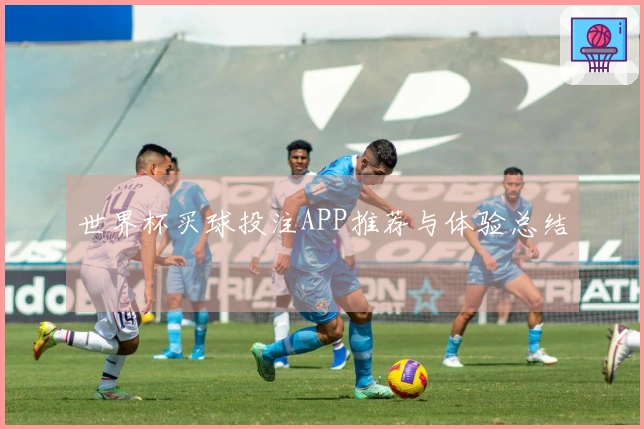 世界杯买球投注APP推荐与体验总结