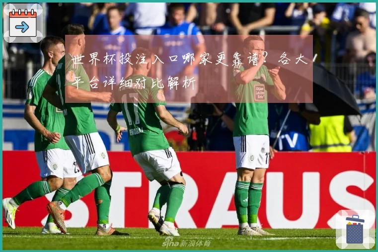 世界杯投注入口哪家更靠谱？各大平台详细对比解析