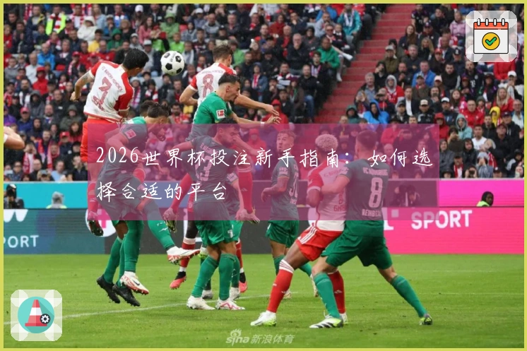 2026世界杯投注新手指南：如何选择合适的平台