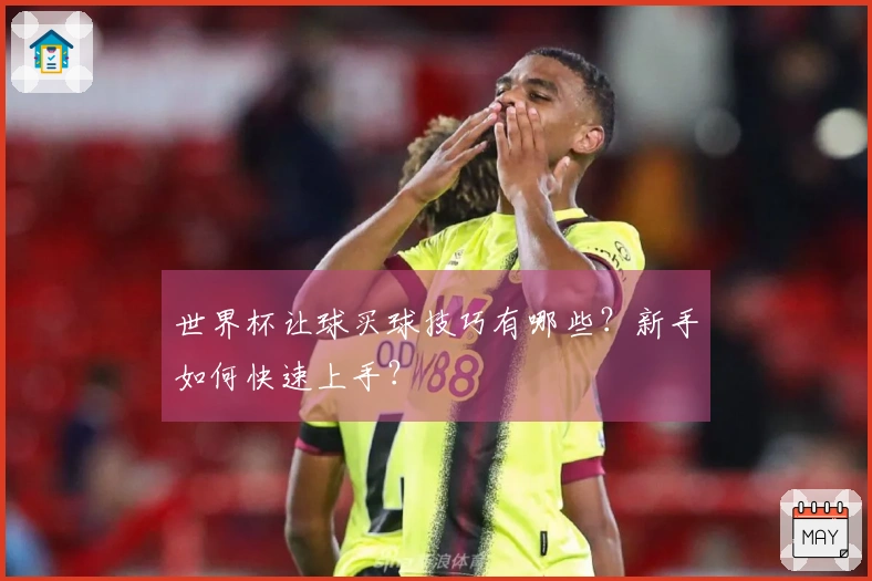 世界杯让球买球技巧有哪些？新手如何快速上手？