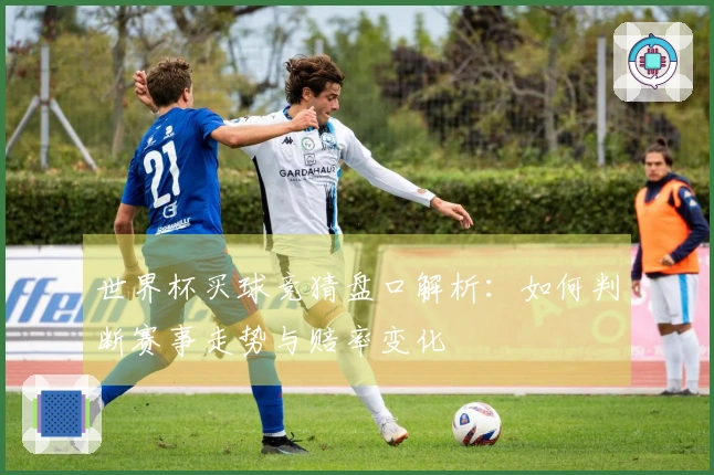 世界杯买球竞猜盘口解析：如何判断赛事走势与赔率变化