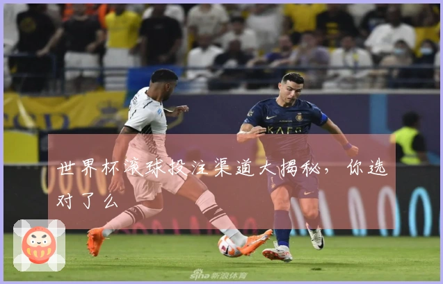 世界杯滚球投注渠道大揭秘，你选对了么