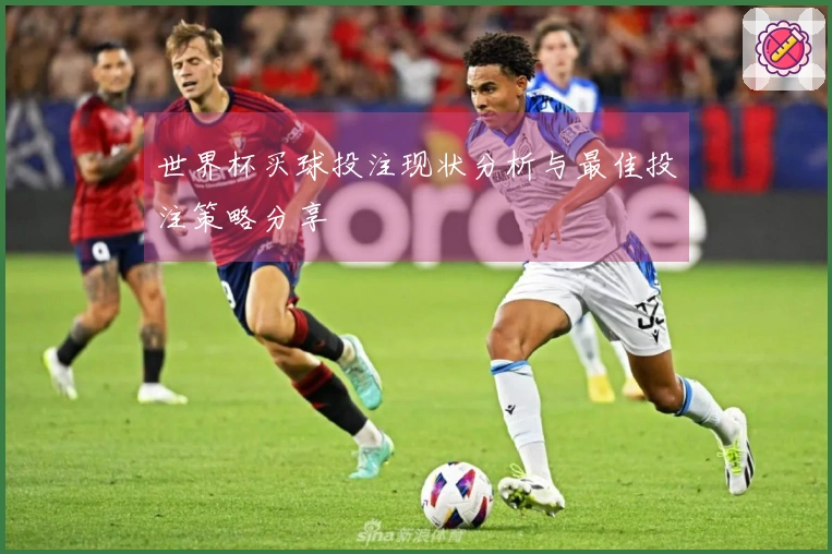 世界杯买球投注现状分析与最佳投注策略分享
