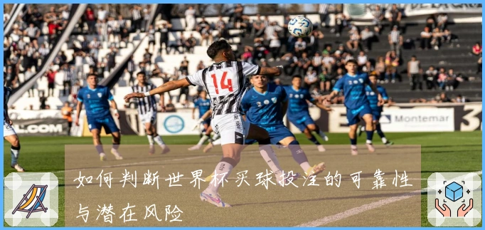 如何判断世界杯买球投注的可靠性与潜在风险