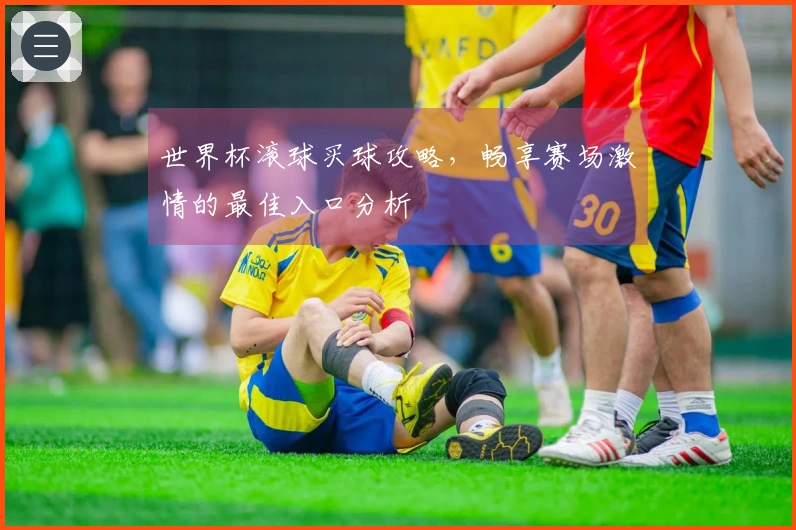 世界杯滚球买球攻略，畅享赛场激情的最佳入口分析
