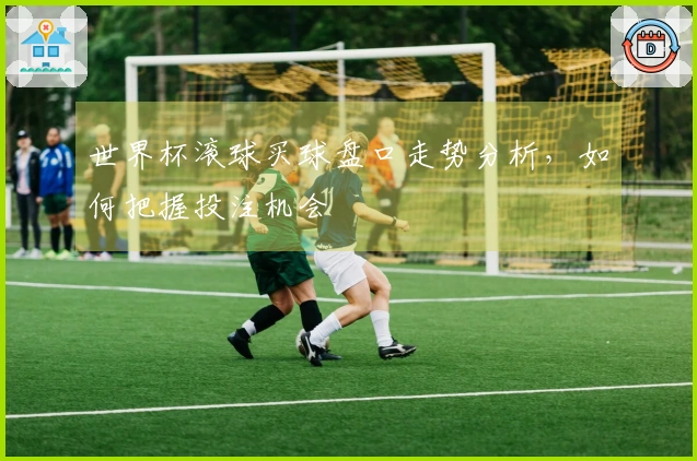 世界杯滚球买球盘口走势分析，如何把握投注机会