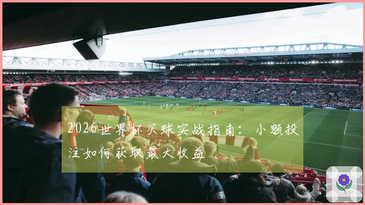 2026世界杯买球实战指南：小额投注如何获取最大收益