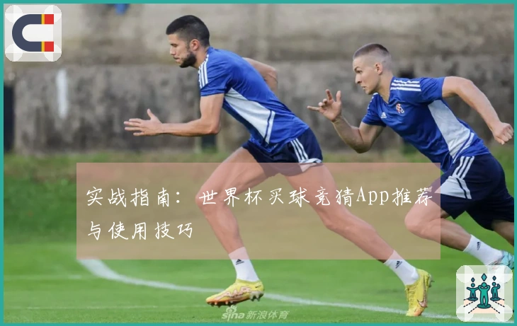 实战指南：世界杯买球竞猜App推荐与使用技巧