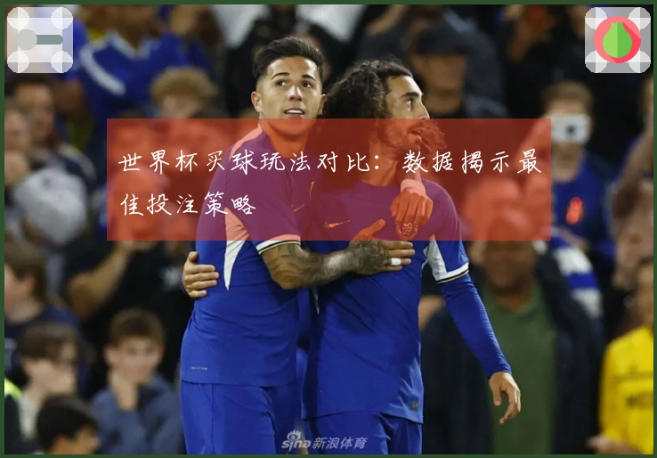 世界杯买球玩法对比：数据揭示最佳投注策略
