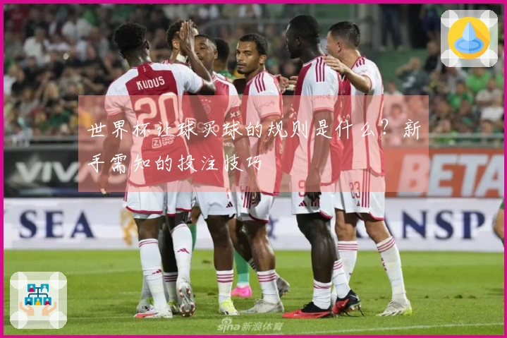 世界杯让球买球的规则是什么？新手需知的投注技巧
