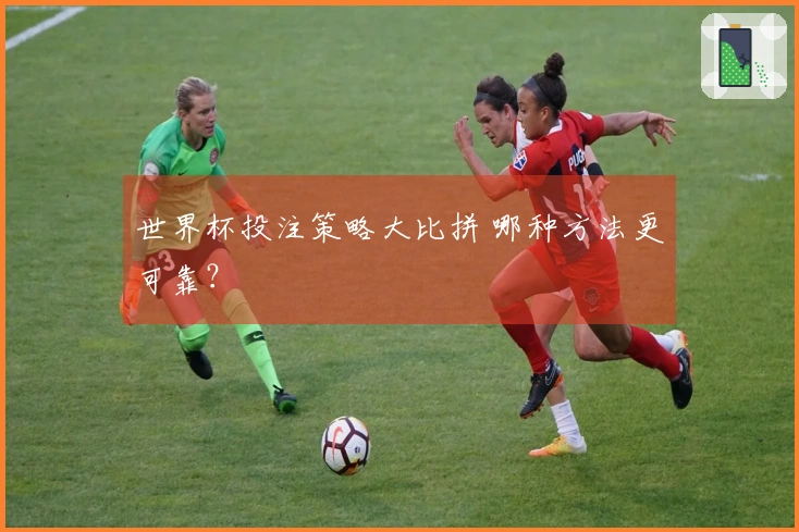 世界杯投注策略大比拼 哪种方法更可靠？