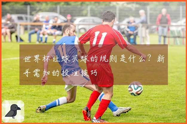 世界杯让球买球的规则是什么？新手需知的投注技巧